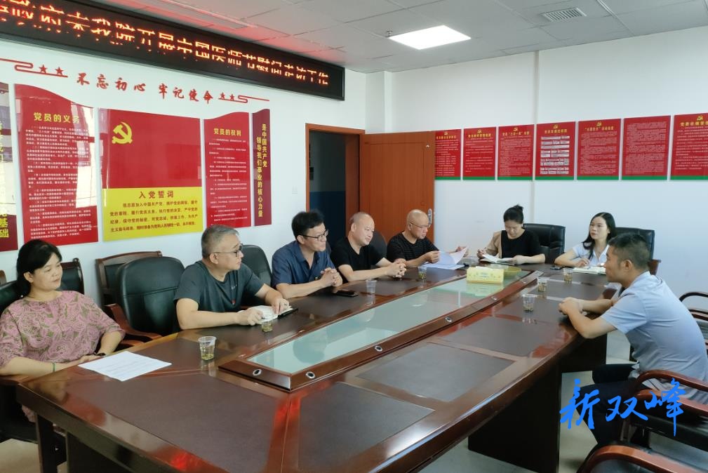 青树坪镇：医师节慰问暖人心 共促医疗事业高质量发展