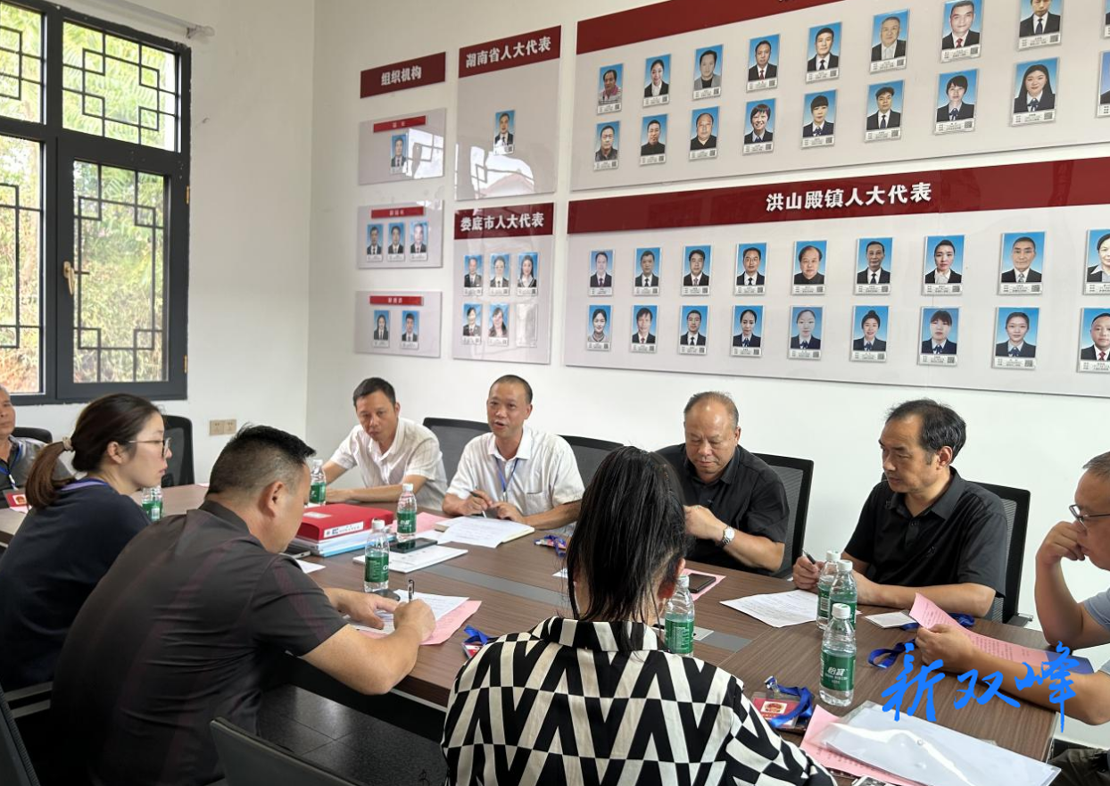 洪山殿镇：人大代表积极履职 助力秸秆禁烧显担当