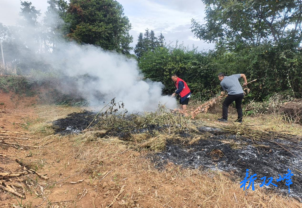 洪山殿镇：多措并举筑牢秸秆禁烧防线