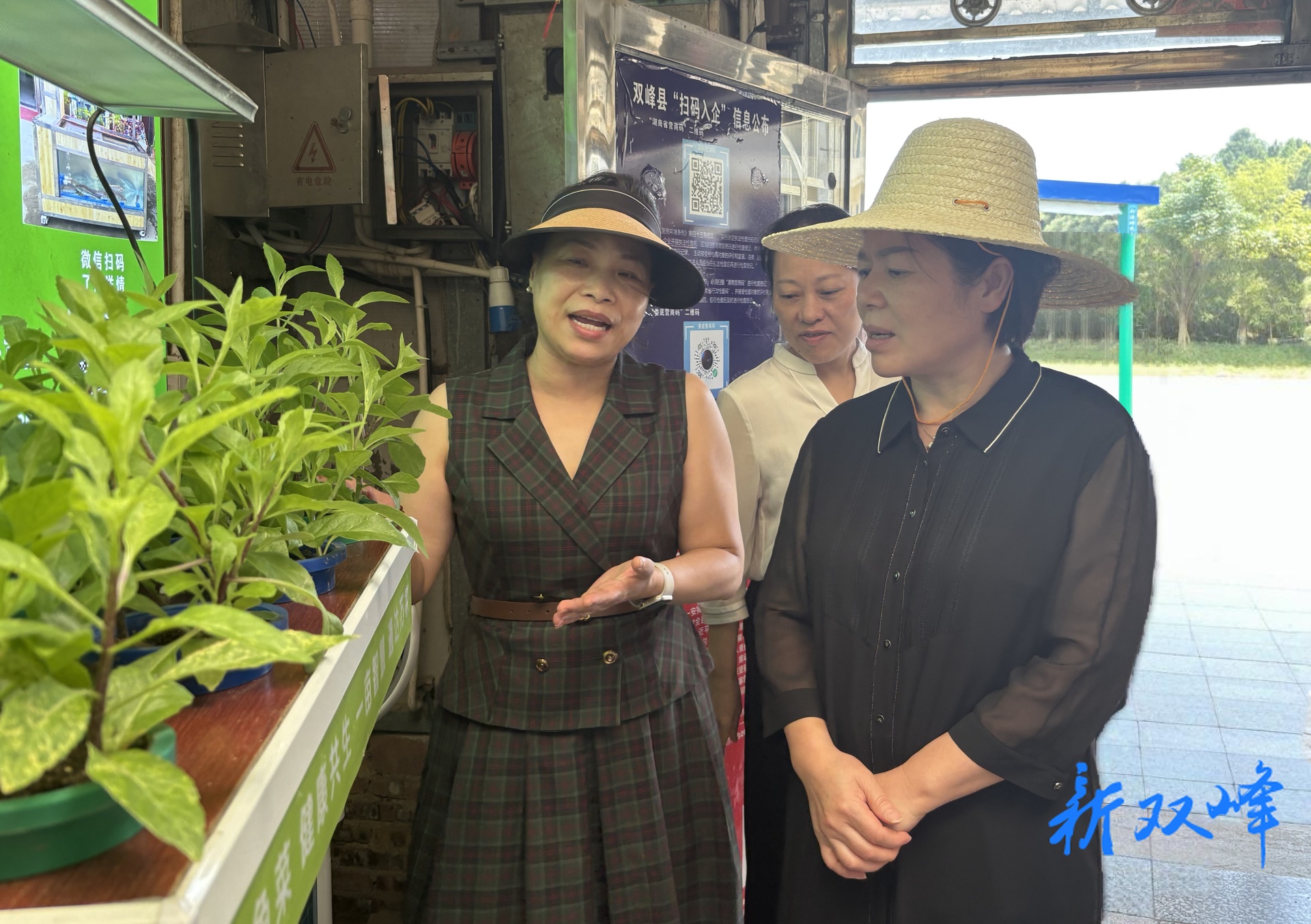 省民政厅厅长黄东红调研娄底民政工作座谈会在双峰举行