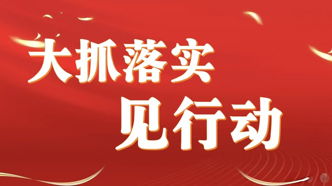 大抓落实见行动