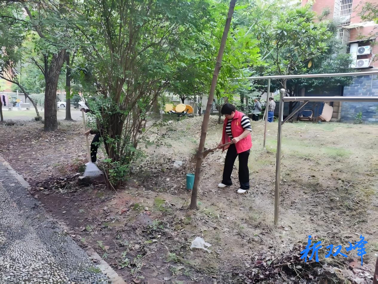 双峰县巨龙御园：志愿大扫除焕新老旧小区，业主自治绘就幸福生活图景