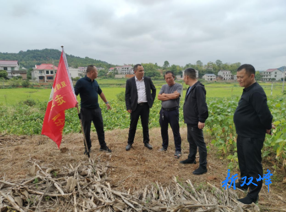 走马街镇：政协委员开展环境监督行动