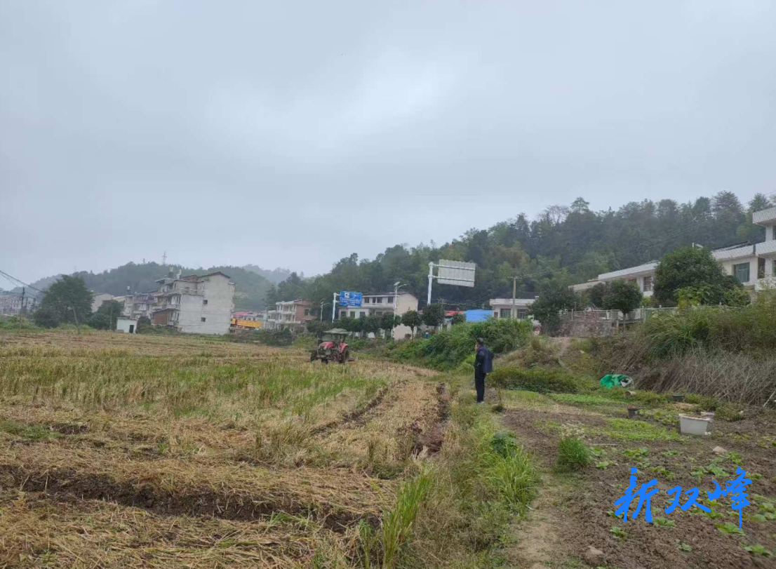 沙塘乡双红村翻耕整地备战冬种油菜