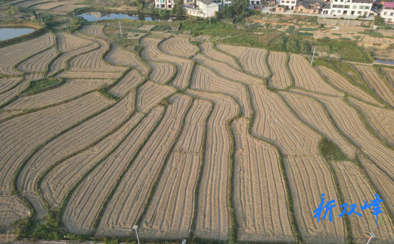 杏子铺镇欧源村：冬季农业开发劲头足，绘就增收新图景