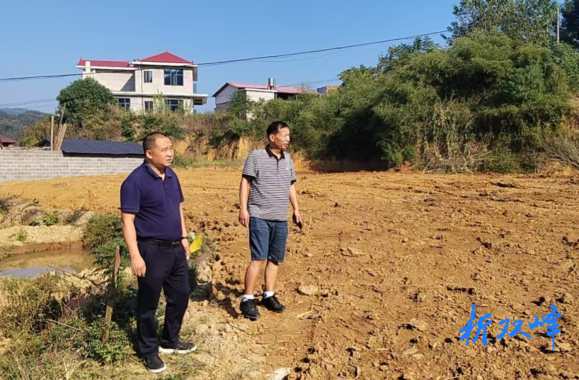杏子铺镇：整治抛荒地 砂场变粮田