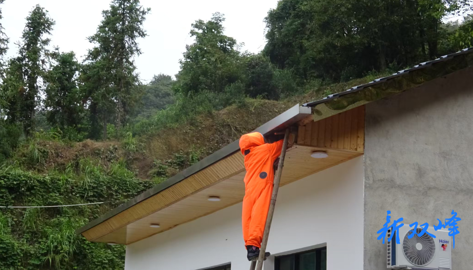 杏子铺镇消防救援队：速除土蜂隐患，守护村民安全