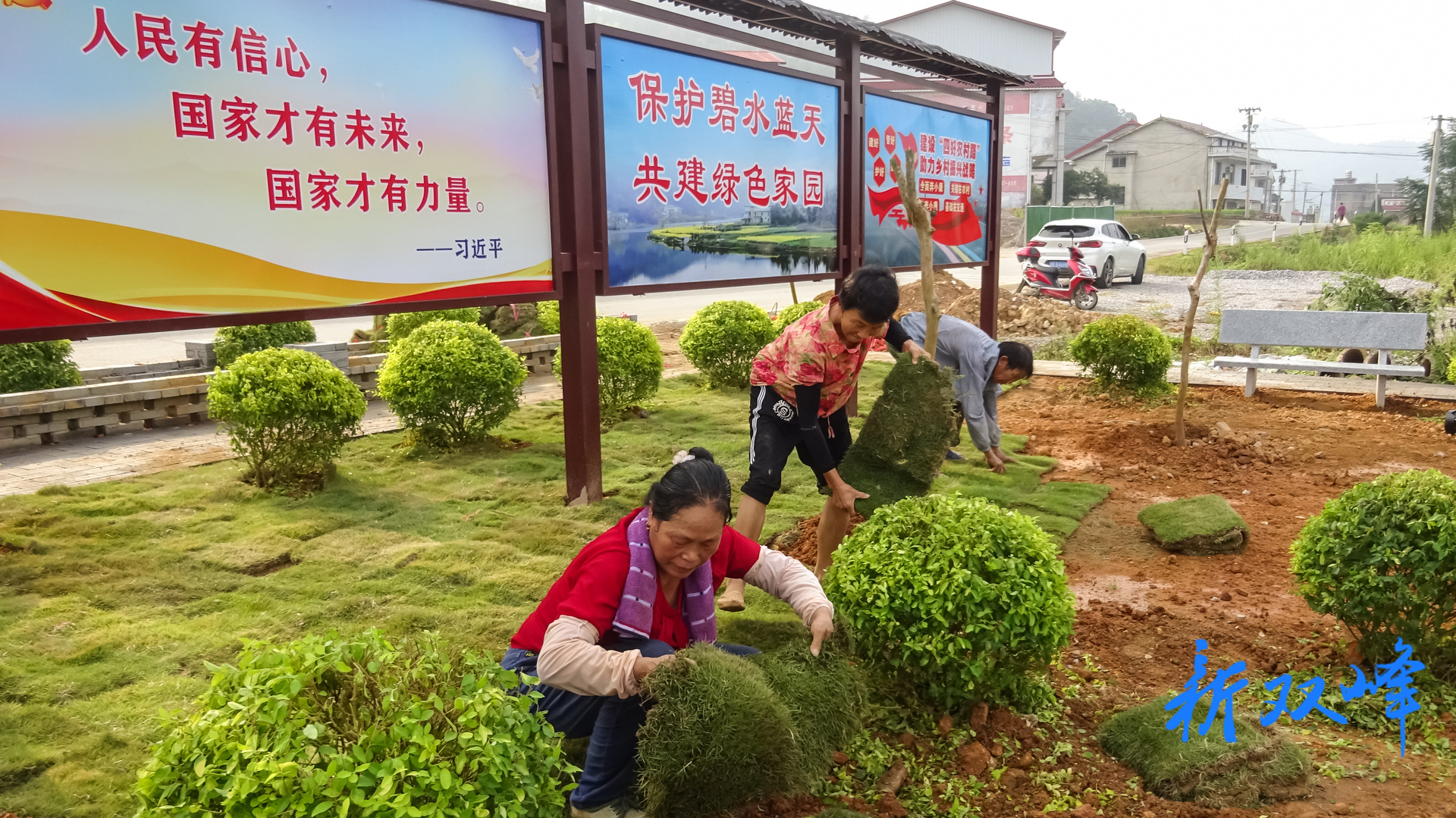 杏子铺镇：擦亮“四色”底色 奏响和美乡村建设新乐章