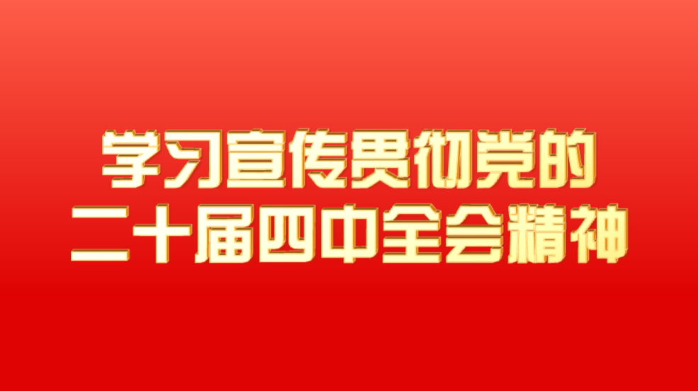 学习宣传贯彻党的二十届四中全会精神