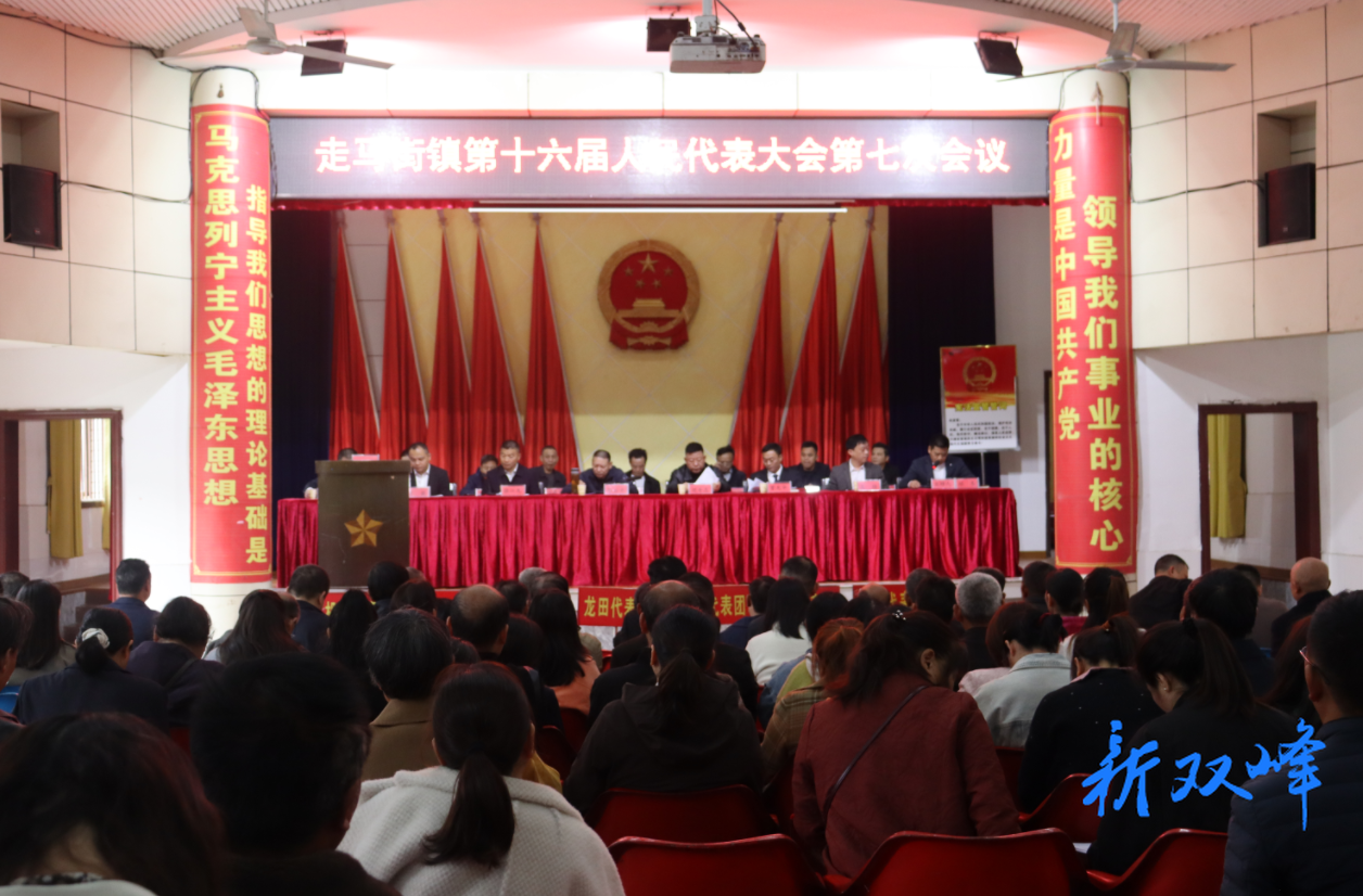 走马街镇召开第十六届人民代表大会第七次会议