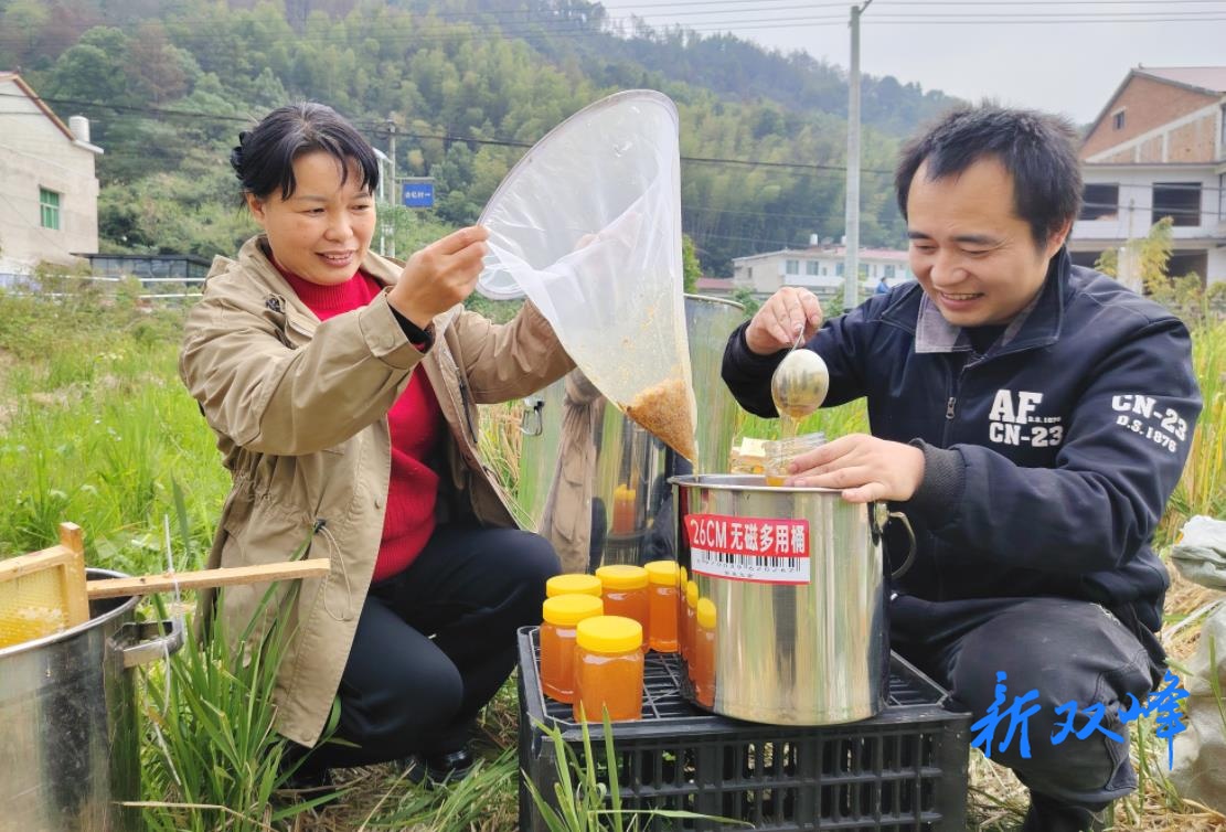 杏子铺镇：养蜂酿出“甜蜜”致富路