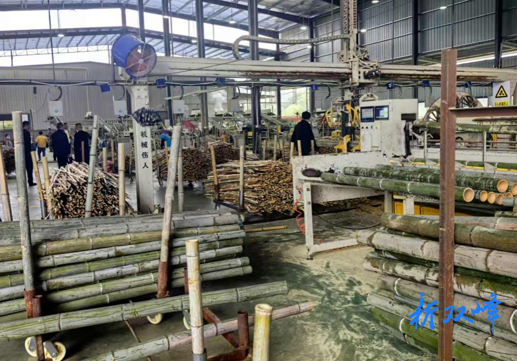 印塘乡：发展跃动“实干曲线”