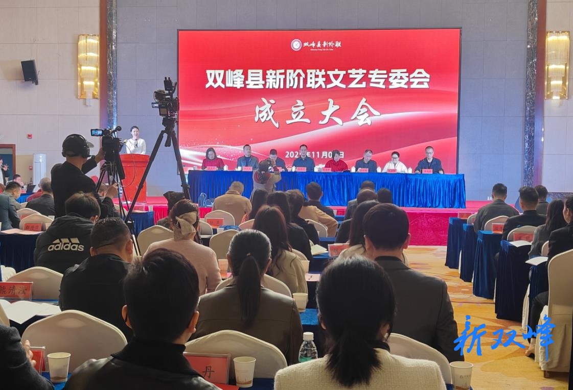 双峰县新阶联文艺专委会成立大会暨首届文艺汇演圆满落幕