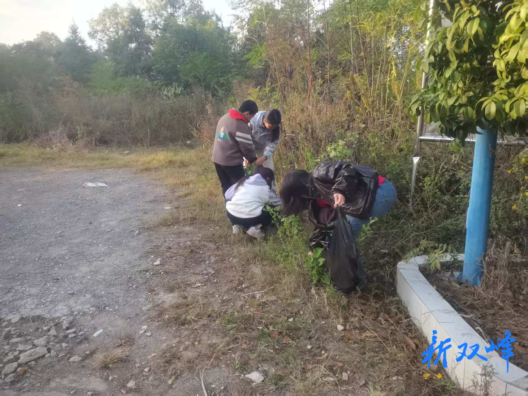杏子铺镇：多措并举，绘就城乡环境新画卷