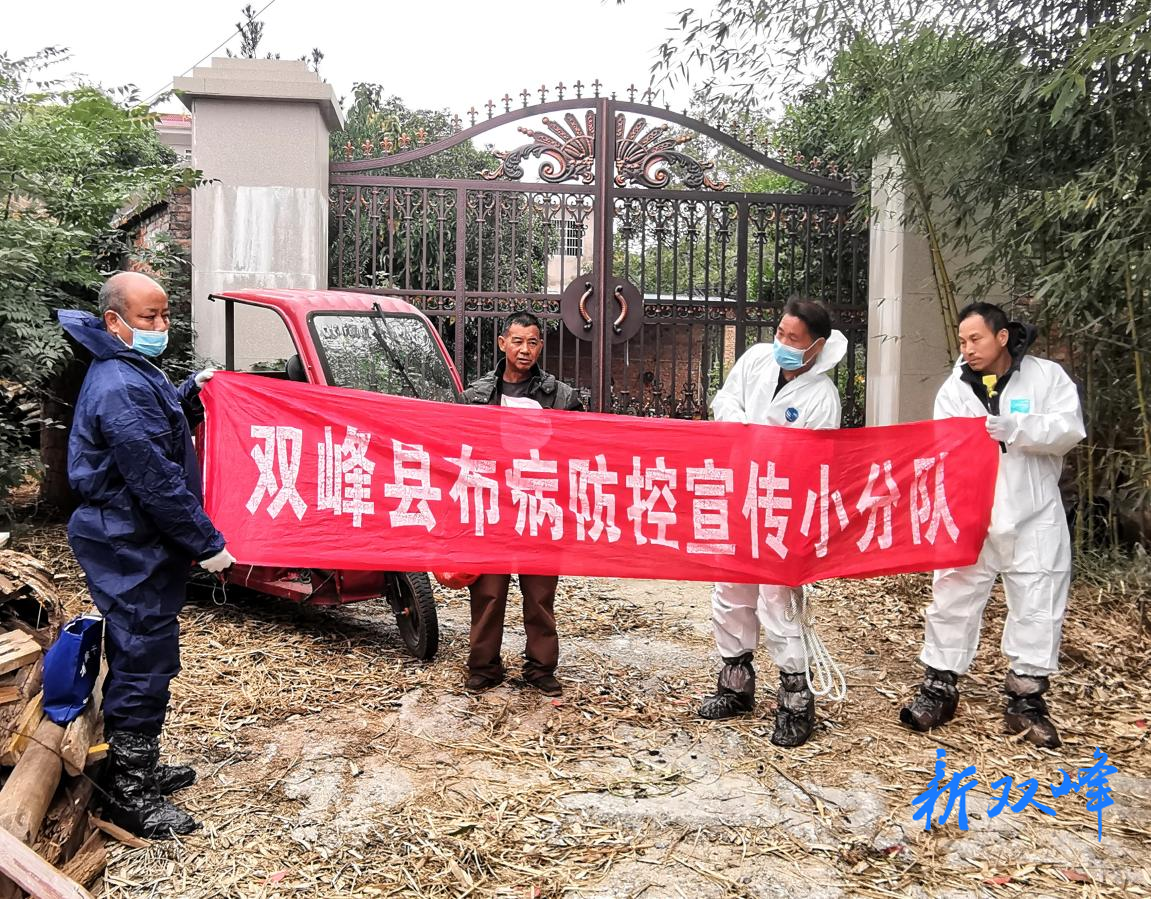 双峰县牛羊布病监测“一户也不漏”