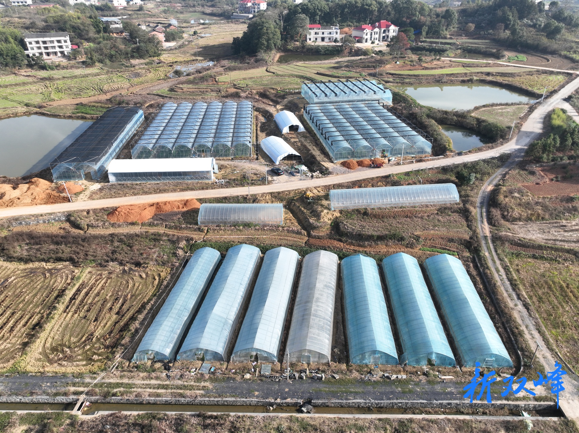 双峰县：“一棚多用”巧生金，循环农业赋能乡村振兴