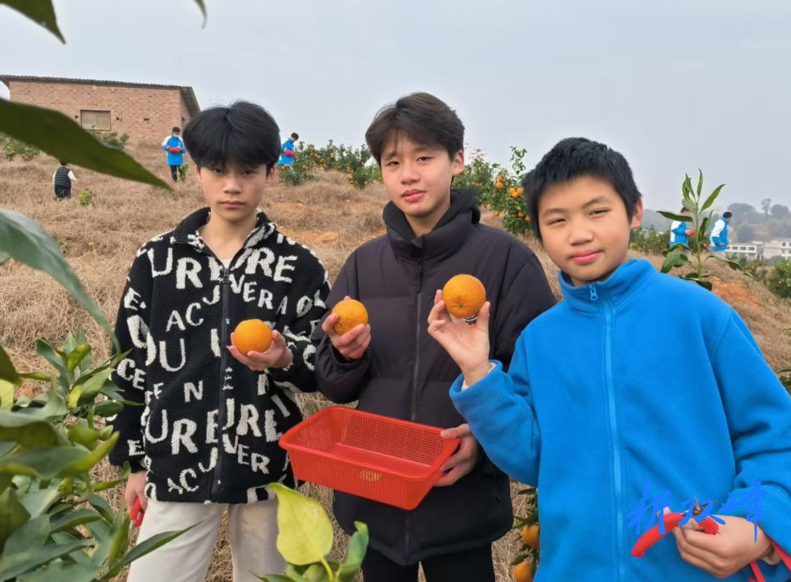 双峰县新阶联文艺专委会组织开展黄马洲村脐橙园助农科普活动