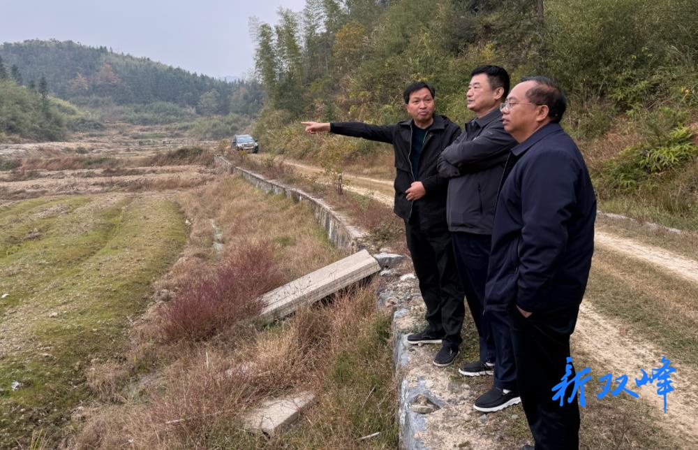 县财政局调研沙塘蜜薯产业助力乡村振兴