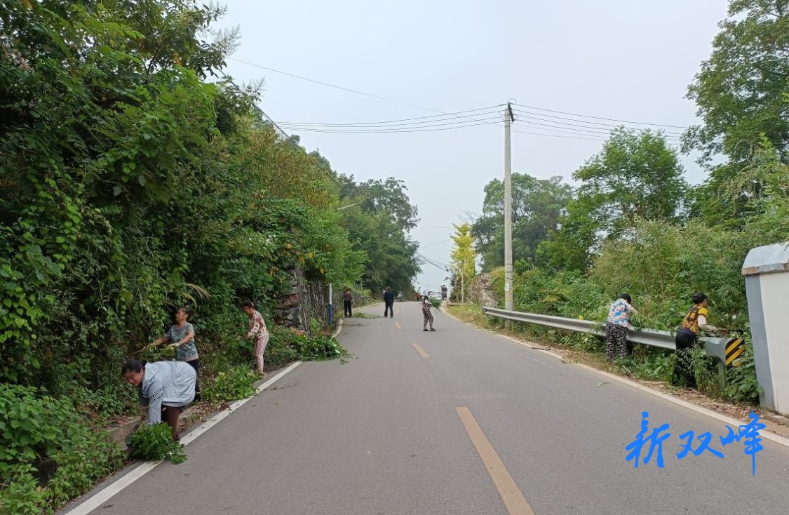 杏子铺镇溪口村：党建引领聚合力 三长联动焕新颜