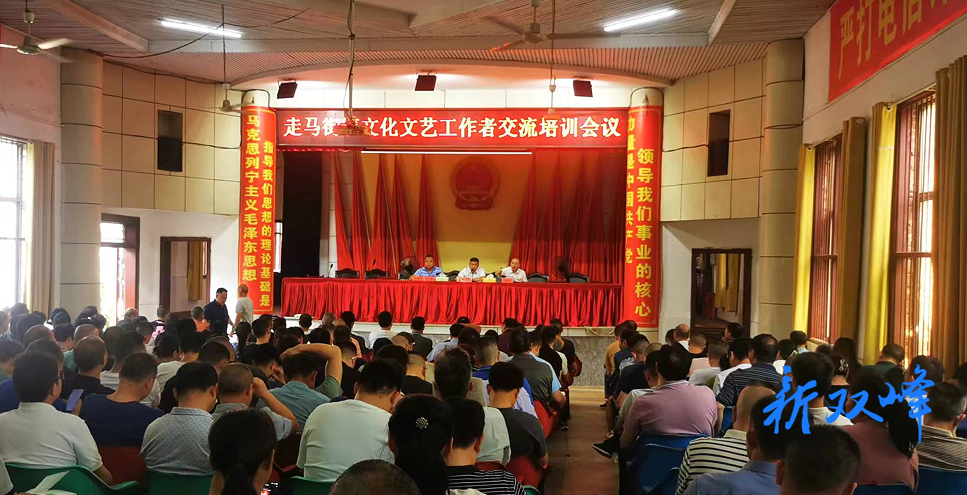 走马街镇开展“文化文艺培训进村组 助推乡村文化振兴 ”活动