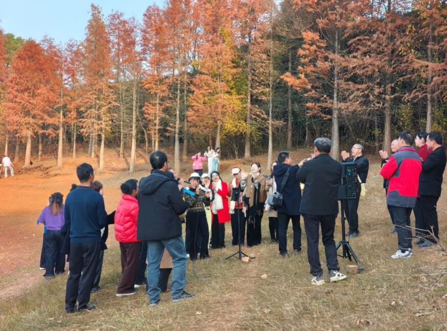 杏子铺镇：奏响乡村文化振兴新乐章