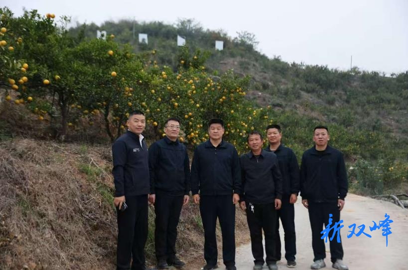 许光赴双峰县湘盛农业调研乡村振兴工作