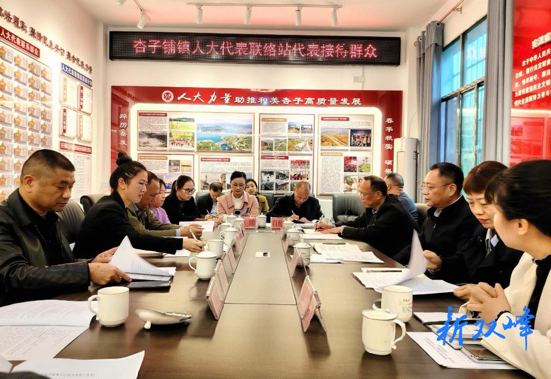 杏子铺镇人大：着墨“建、管、用”，描绘民主新图景