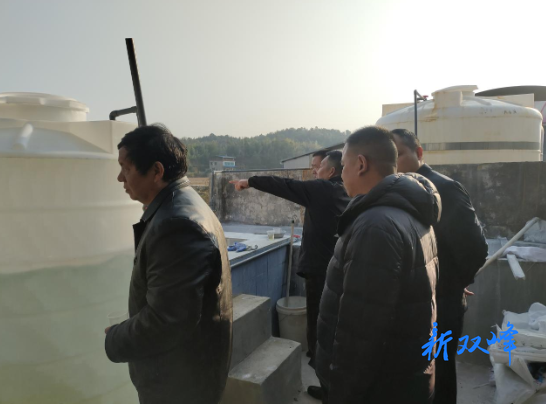 走马街镇政协委员为绿色发展“把脉问诊”