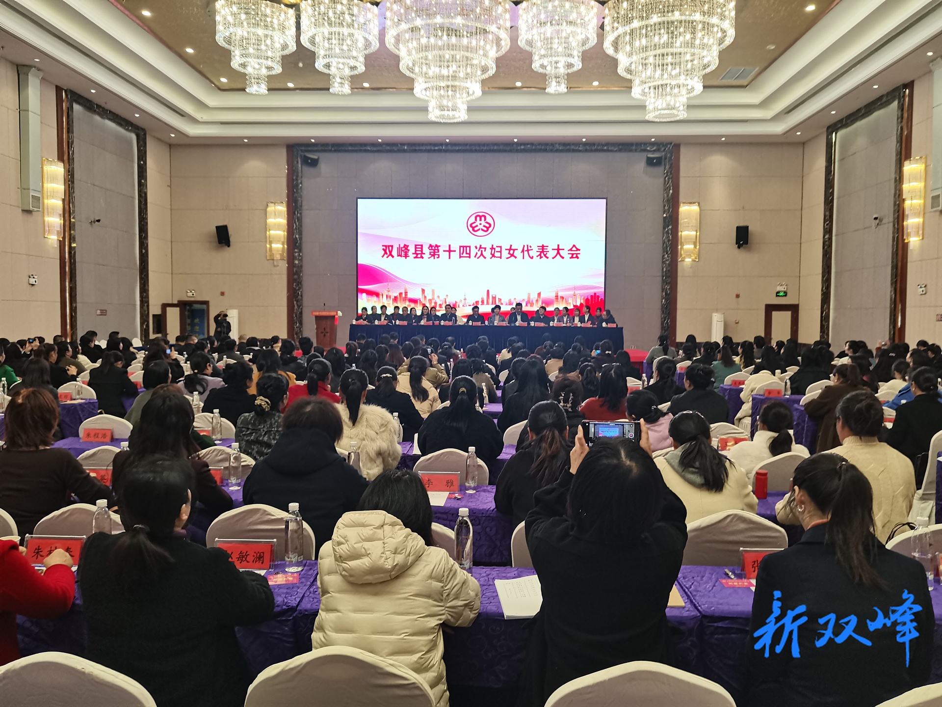 双峰县第十四次妇女代表大会召开