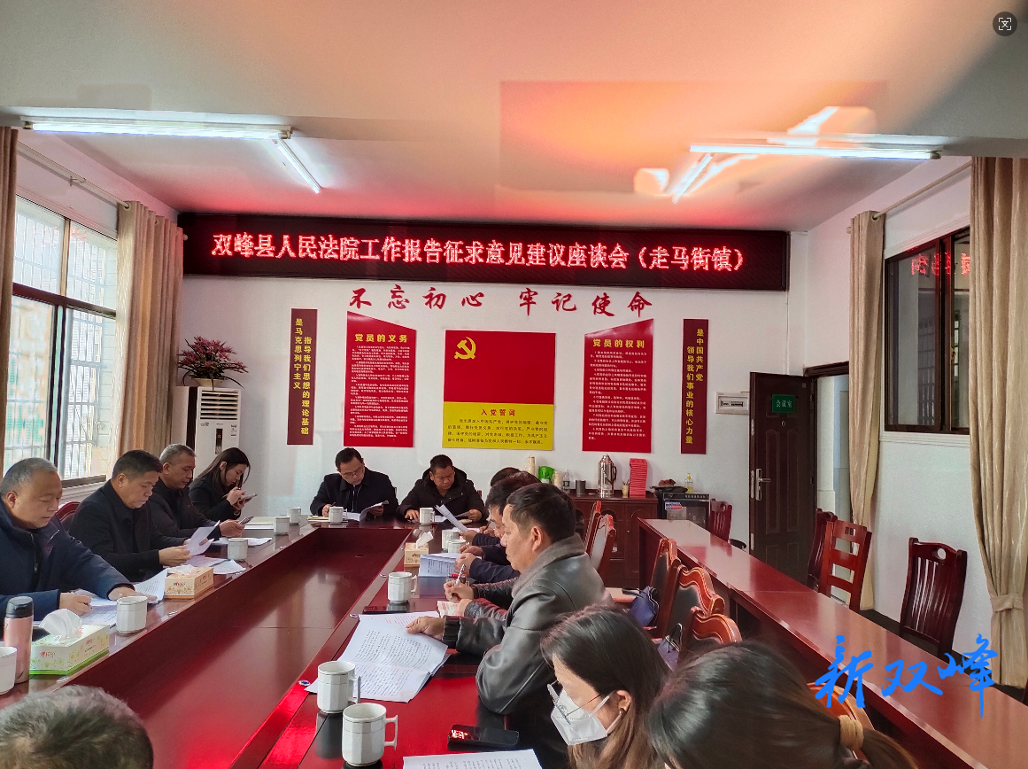 走马街镇代表委员热议法院工作 共谋法治新篇章