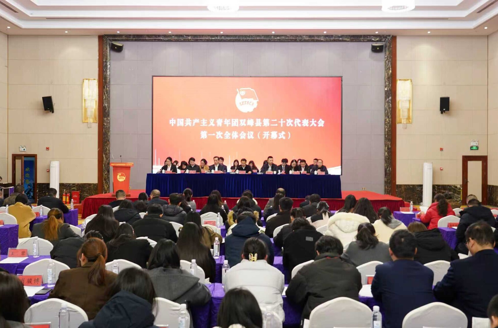 共青团双峰县第二十次代表大会召开