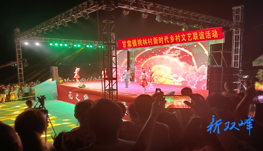 甘棠镇桃林村：草根村晚火了