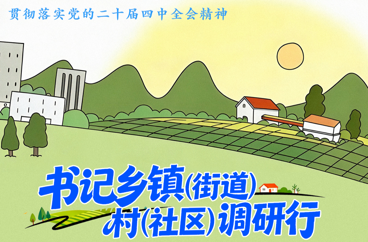 书记乡镇（街道）村（社区）调研行