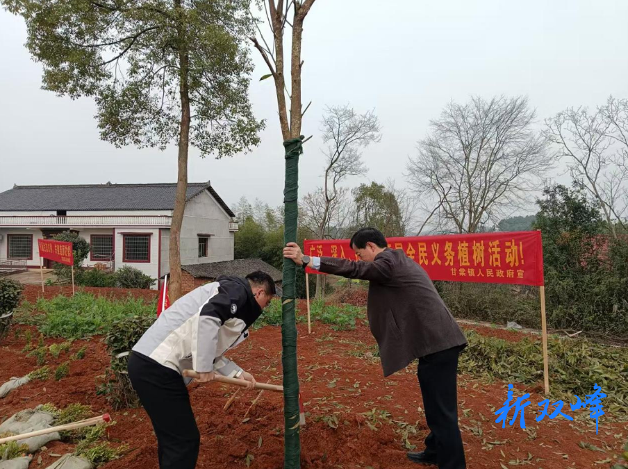 甘棠镇开展春节义务植树活动