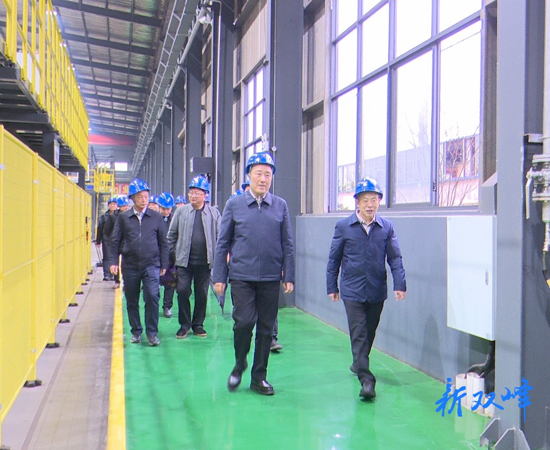 王文红调研节后复工复产和项目建设情况