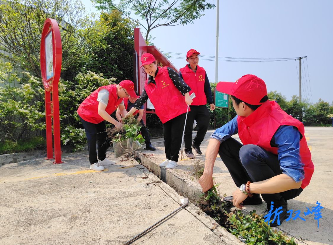 杏子铺镇品端村：三治融合善治理 聚力创建省级和谐社区