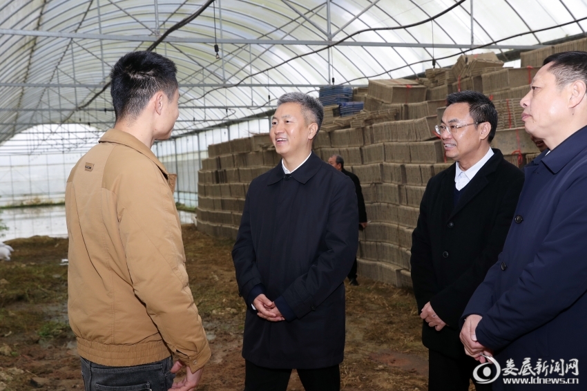 曾超群赴双峰县调研：扛牢政治责任 毫不放松抓好粮食生产