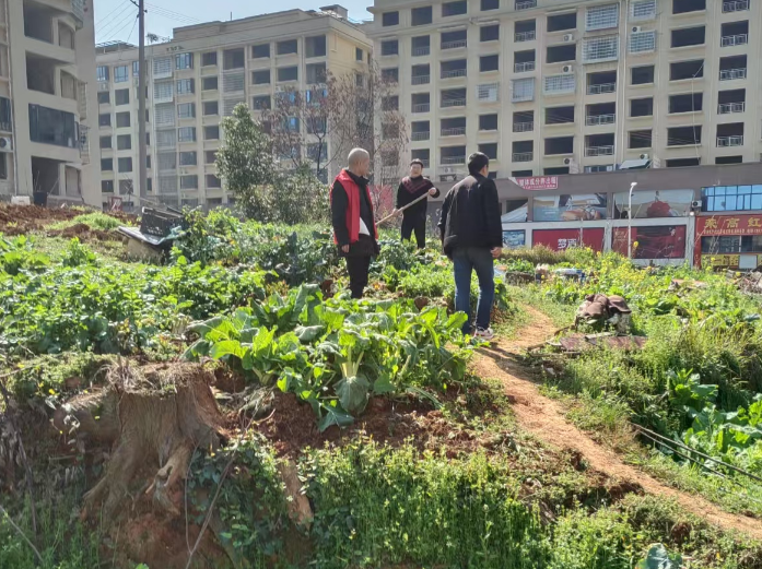 永丰街道全面启动2026年禁毒暨禁种铲毒工作