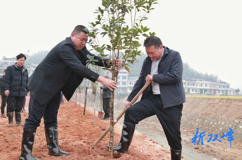 荷叶镇：神冲河畔植新绿 生态护河助振兴
