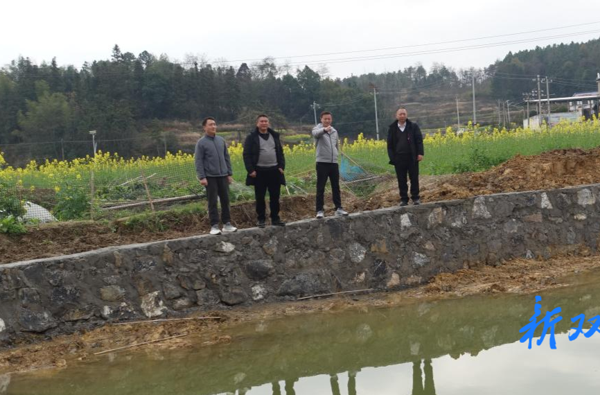 花门镇大石玉村：帮扶“扶”出美丽乡村