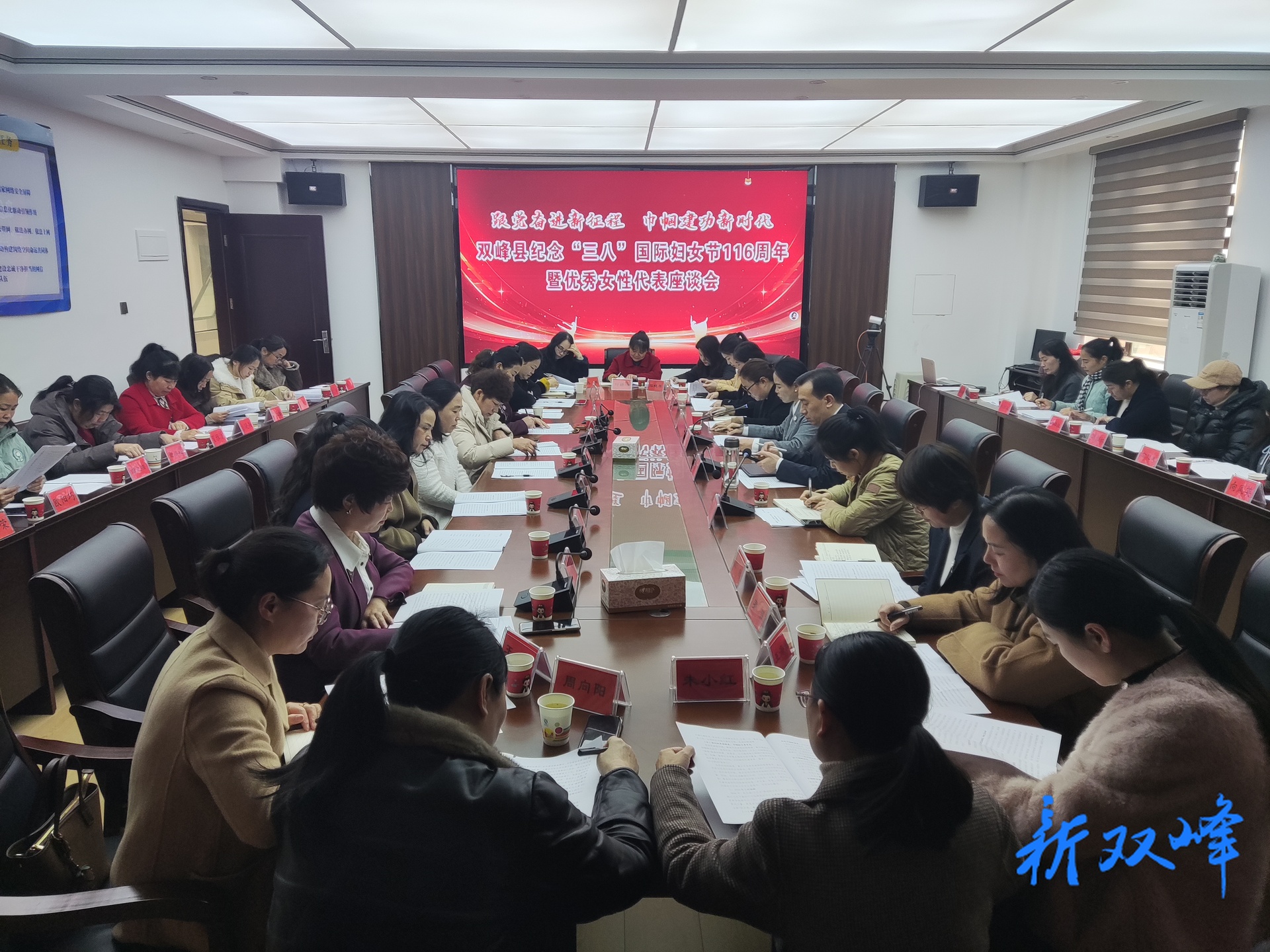 2026年双峰县纪念“三八”国际妇女节暨优秀女性代表座谈会召开