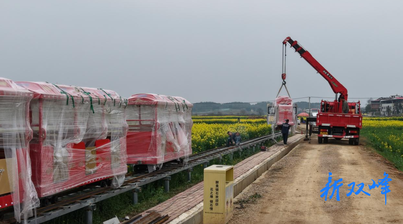 锁石万亩花田迎来流动观景台
