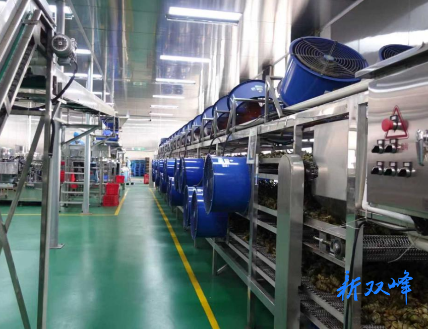 青树坪镇：上门纾困解难 护航企业发展