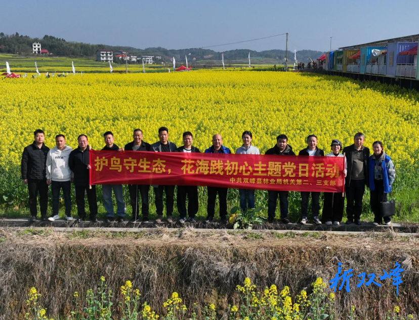 双峰县林业局：护林护鸟绘生态 党建引领践初心