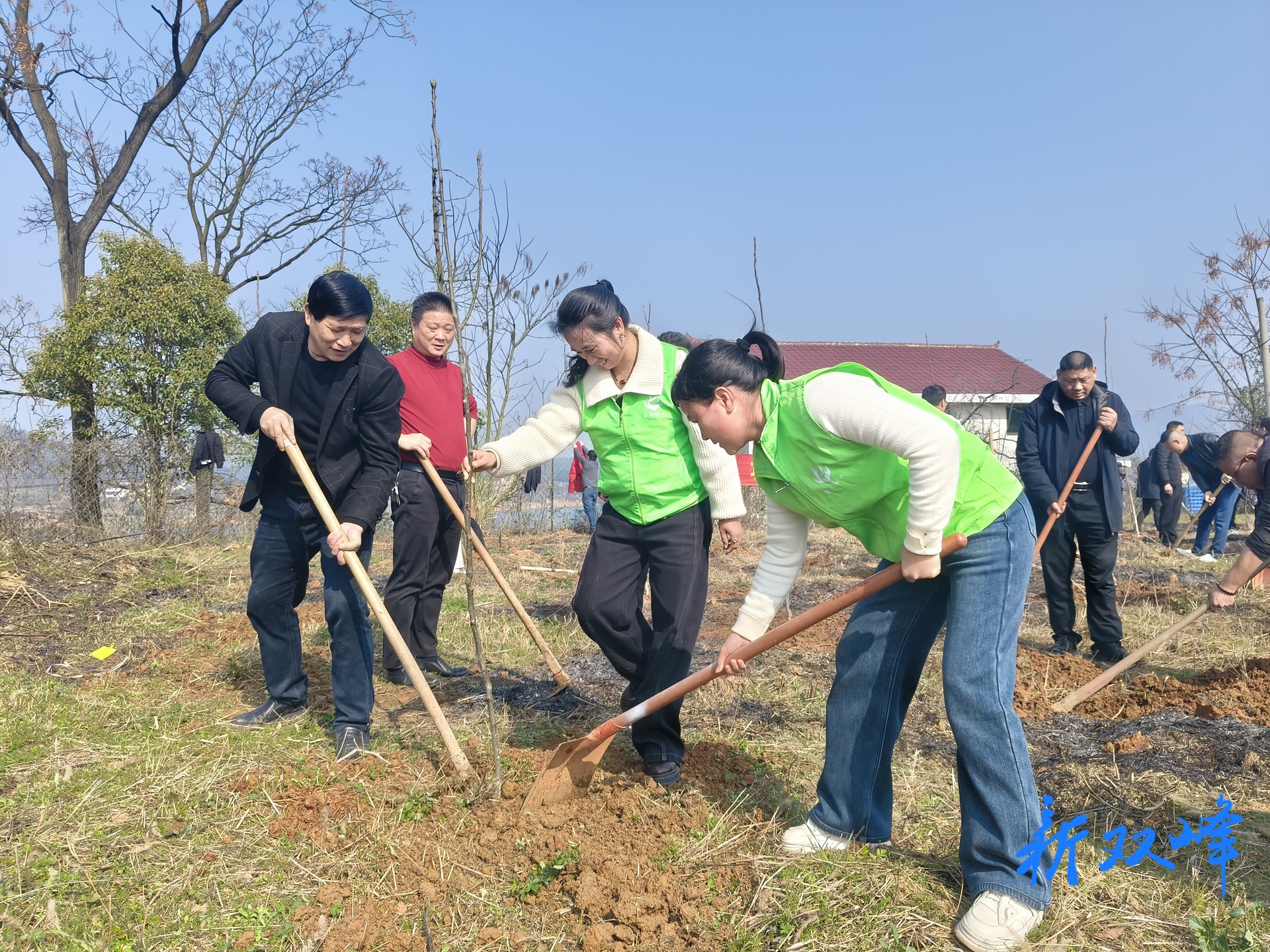 杏子铺镇：多单位携手植新绿 共绘水府生态新画卷