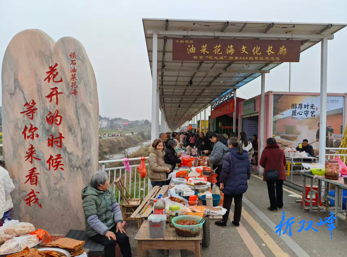 锁石花开处，乡村振兴路