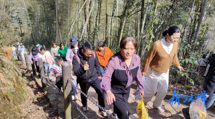 青树坪镇开展2026年“三八”妇女节户外拓展活动