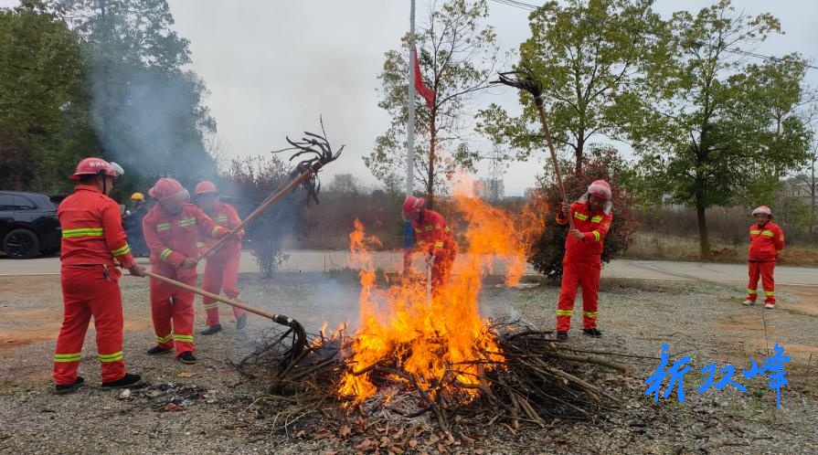 青树坪镇开展森林防灭火应急演练