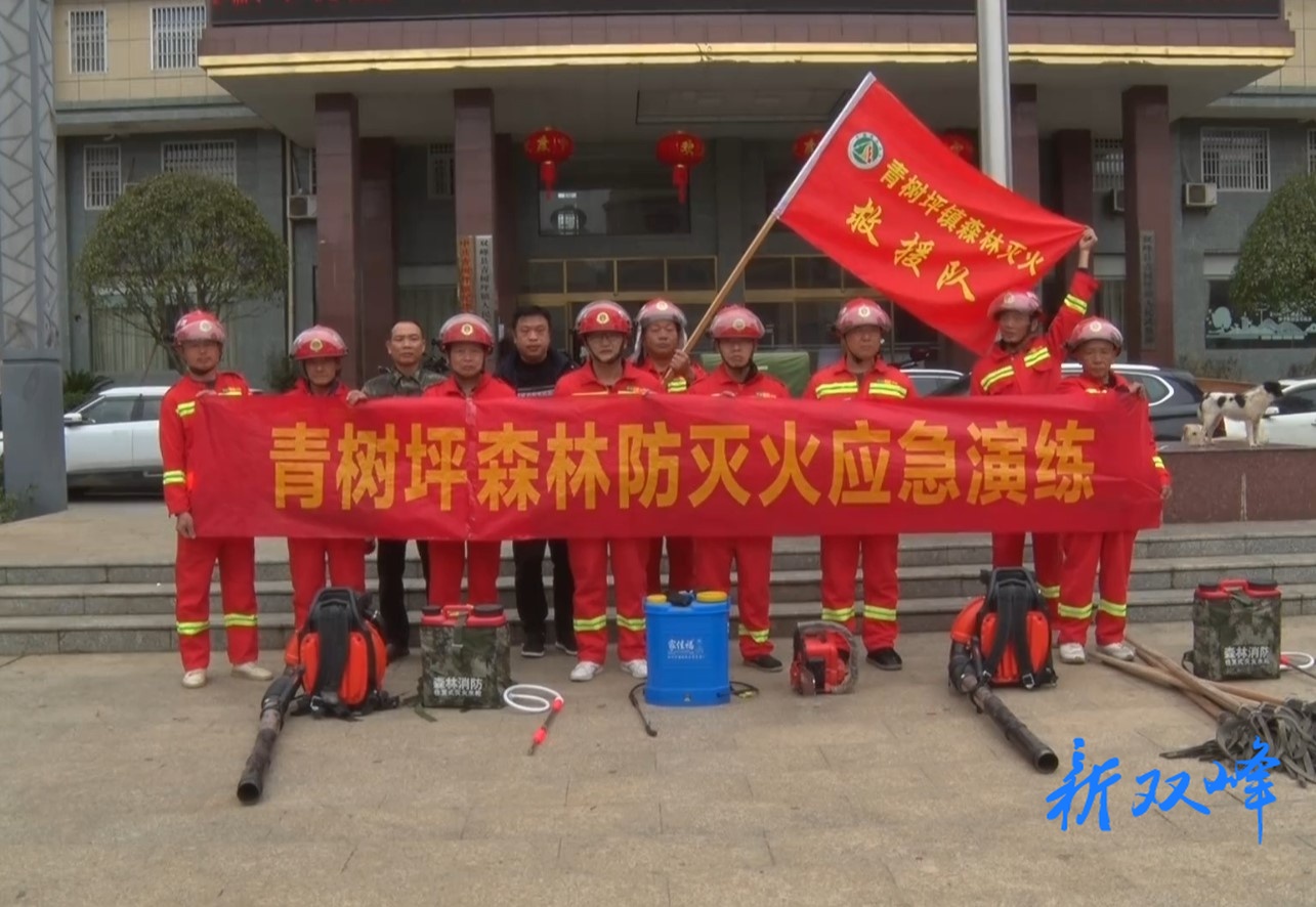 青树坪镇开展森林防灭火应急演练