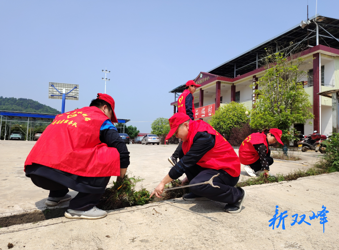 杏子铺镇品端村：环境整治焕新颜 和美乡村入画来
